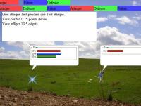 Capture d'ecran de l'interface de combat